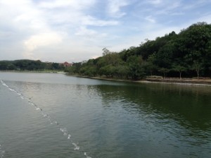 IMG_9235